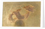 Dance of the Hours (Danza delle ore) by Anonymous