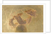 Dance of the Hours (Danza delle ore) by Anonymous