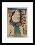 The sumo wrestler Kagamiiwa of the West Side by Anonymous
