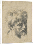 Head of a Young Apostle by Anonymous