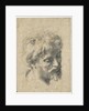 Head of a Young Apostle by Anonymous