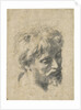Head of a Young Apostle by Anonymous