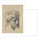 Head of a Young Apostle by Anonymous