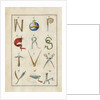 Alphabet by Anonymous