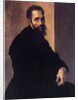 Portrait of Michelangelo Buonarroti by Anonymous