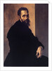 Portrait of Michelangelo Buonarroti by Anonymous