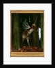 Silence of the forest by Anonymous
