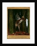 Silence of the forest by Anonymous