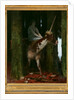 Silence of the forest by Anonymous