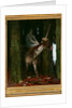 Silence of the forest by Anonymous