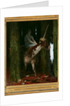 Silence of the forest by Anonymous