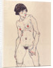 Standing Nude with Stockings by Anonymous