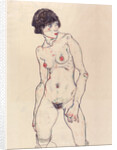 Standing Nude with Stockings by Anonymous