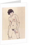 Standing Nude with Stockings by Anonymous