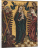 Virgin and child with Saints Andrew, Hedwig of Silesia, John the Baptist, John the Evangelist, Stani by Anonymous