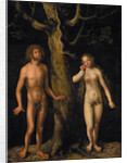 Adam and Eve by Anonymous