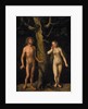 Adam and Eve by Anonymous