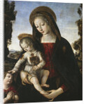 Virgin and child with John the Baptist as a Boy by Anonymous