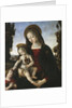 Virgin and child with John the Baptist as a Boy by Anonymous
