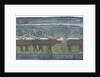 Reindeers. North by Anonymous