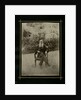 Portrait of the author Count Lev Nikolayevich Tolstoy by Anonymous