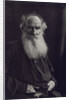 Portrait of the author Count Lev Nikolayevich Tolstoy by Anonymous
