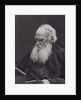 Portrait of the author Count Lev Nikolayevich Tolstoy by Anonymous