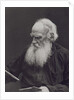 Portrait of the author Count Lev Nikolayevich Tolstoy by Anonymous