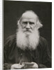 Portrait of the author Count Lev Nikolayevich Tolstoy by Anonymous