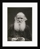Portrait of the author Count Lev Nikolayevich Tolstoy by Anonymous