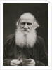 Portrait of the author Count Lev Nikolayevich Tolstoy by Anonymous
