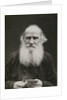 Portrait of the author Count Lev Nikolayevich Tolstoy by Anonymous