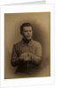 Portrait of the author Count Lev Nikolayevich Tolstoy by Anonymous