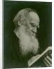 Portrait of the author Count Lev Nikolayevich Tolstoy by Anonymous