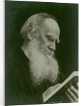 Portrait of the author Count Lev Nikolayevich Tolstoy by Anonymous
