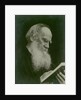 Portrait of the author Count Lev Nikolayevich Tolstoy by Anonymous