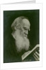 Portrait of the author Count Lev Nikolayevich Tolstoy by Anonymous