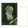 Portrait of the author Count Lev Nikolayevich Tolstoy by Anonymous