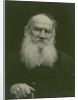 Portrait of the author Count Lev Nikolayevich Tolstoy by Anonymous