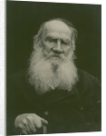 Portrait of the author Count Lev Nikolayevich Tolstoy by Anonymous