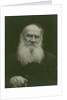 Portrait of the author Count Lev Nikolayevich Tolstoy by Anonymous
