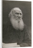 Portrait of the author Count Lev Nikolayevich Tolstoy by Anonymous