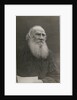 Portrait of the author Count Lev Nikolayevich Tolstoy by Anonymous
