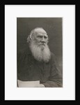 Portrait of the author Count Lev Nikolayevich Tolstoy by Anonymous