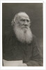Portrait of the author Count Lev Nikolayevich Tolstoy by Anonymous