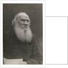 Portrait of the author Count Lev Nikolayevich Tolstoy by Anonymous