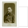 Portrait of the author Count Lev Nikolayevich Tolstoy by Anonymous