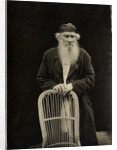 Portrait of the author Count Lev Nikolayevich Tolstoy by Anonymous