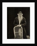 Portrait of the author Count Lev Nikolayevich Tolstoy by Anonymous