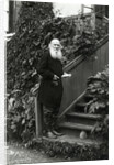 Portrait of the author Count Lev Nikolayevich Tolstoy by Anonymous